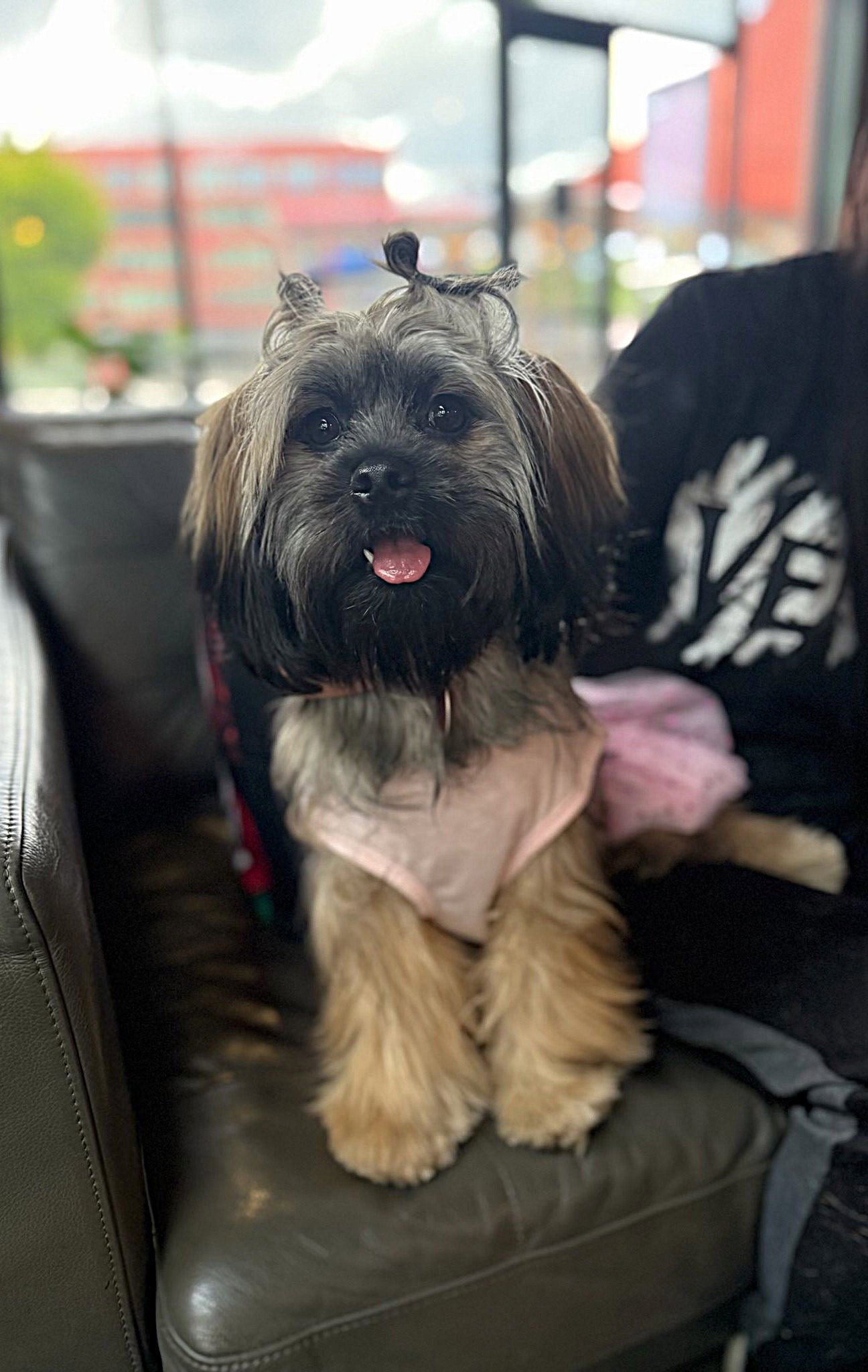 Edna Jean