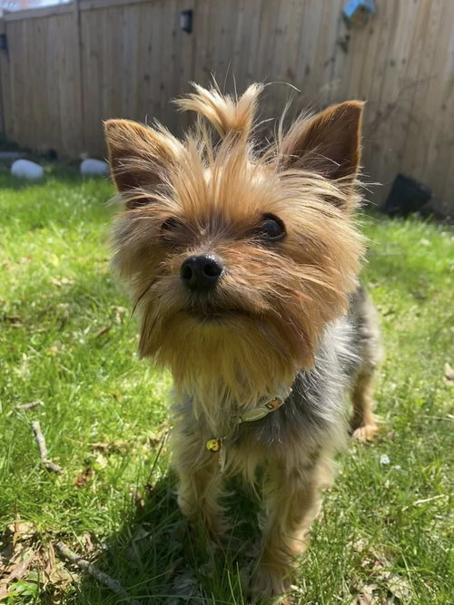 Penny photo 5