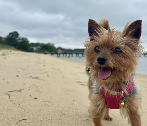 Penny photo 7