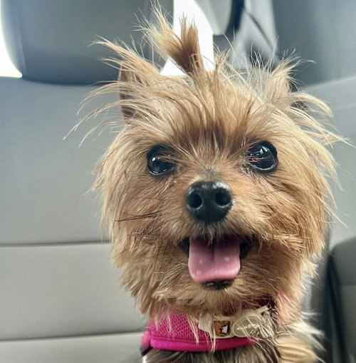 Penny photo 11