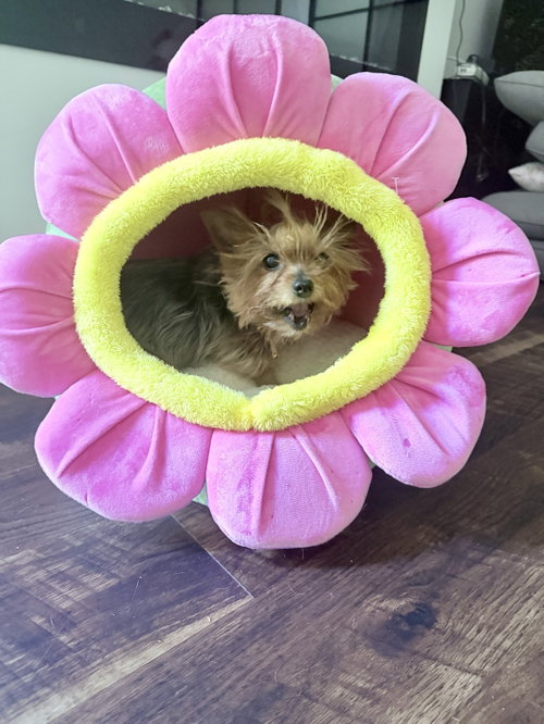 Penny photo 10
