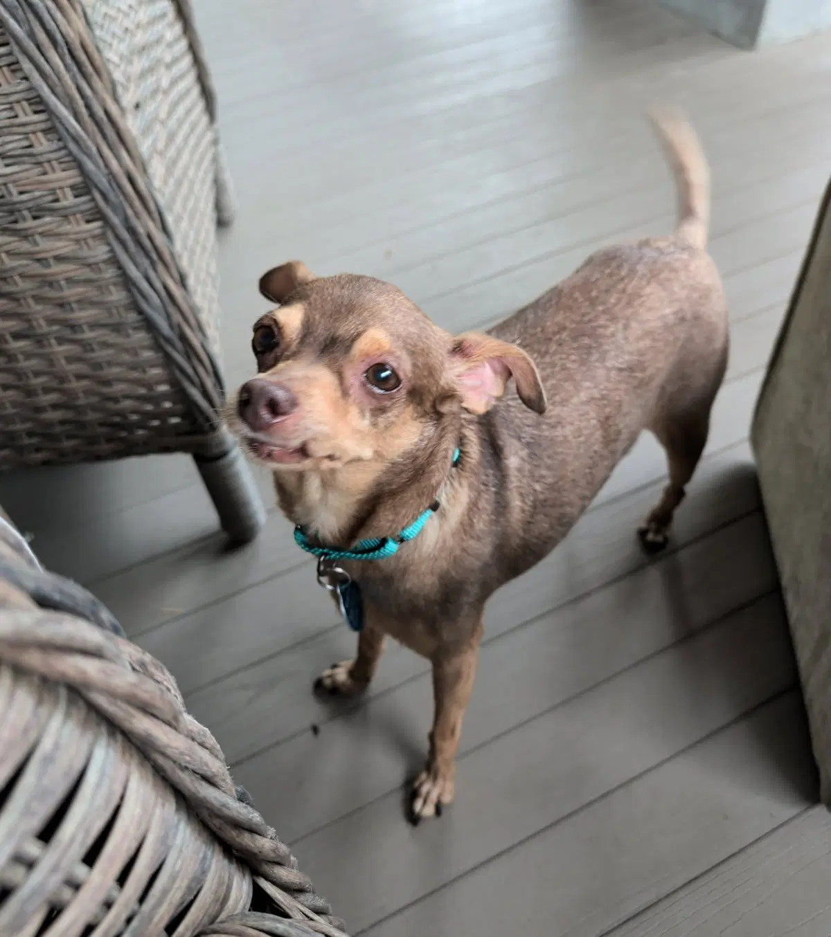 Otis image 3