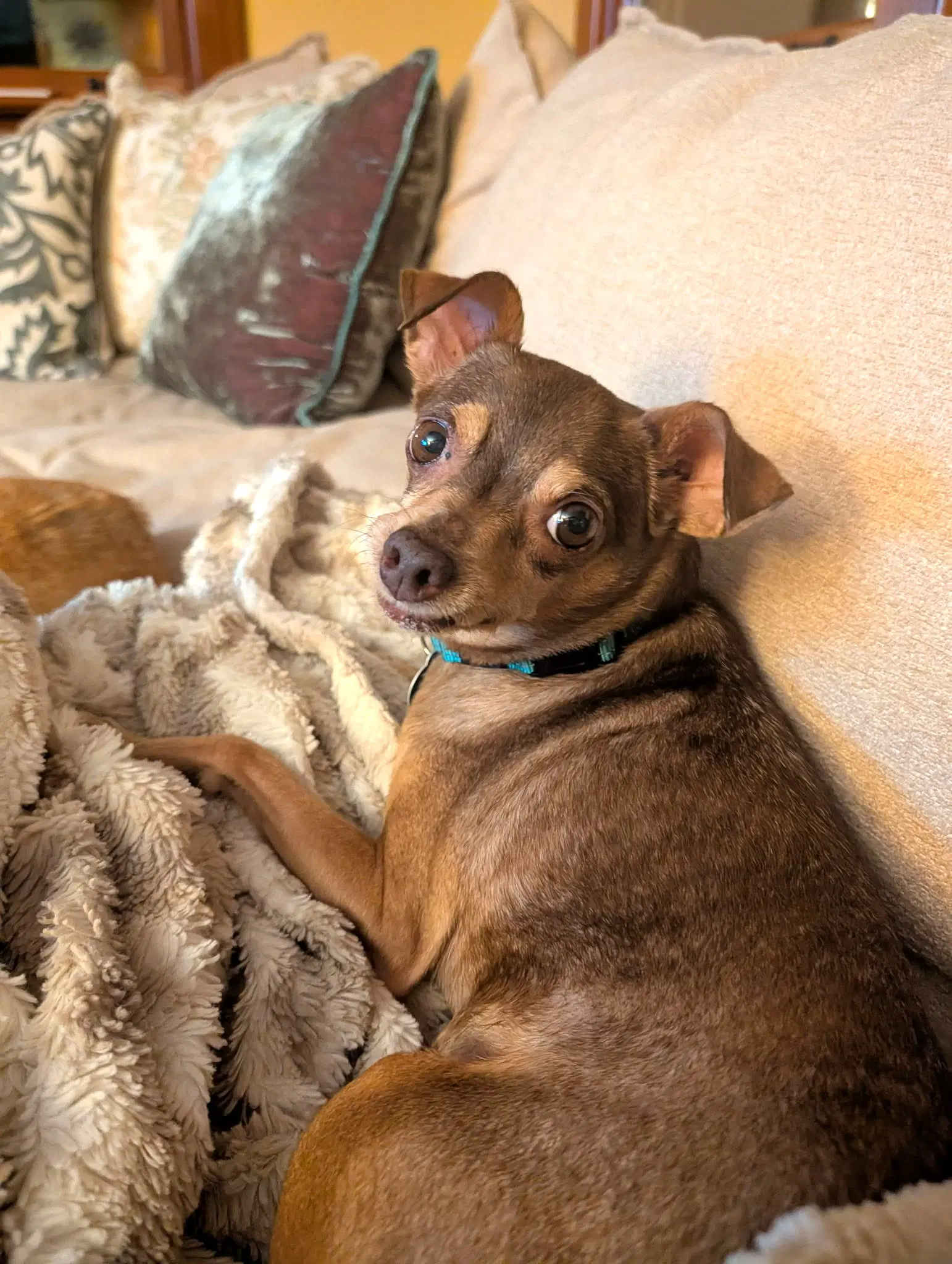 Otis image 4