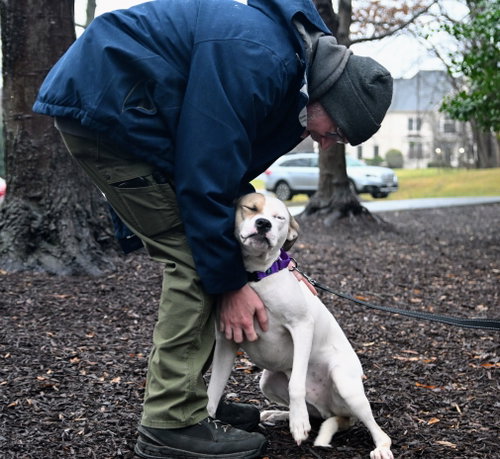 Buster photo 4