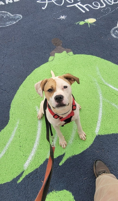 Buster photo 10