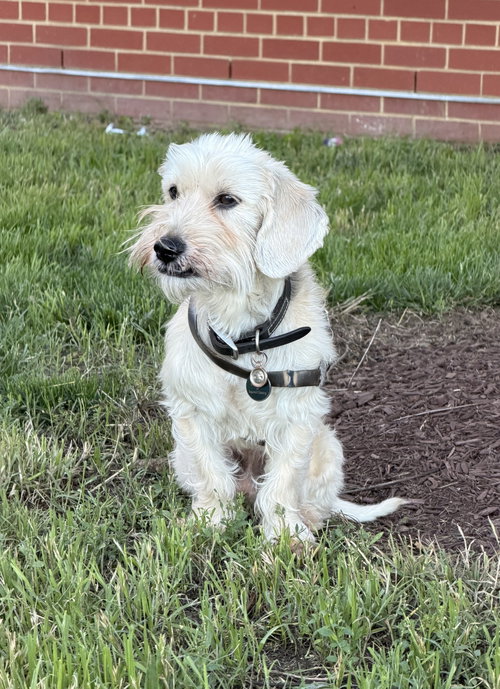 Murphy photo 5