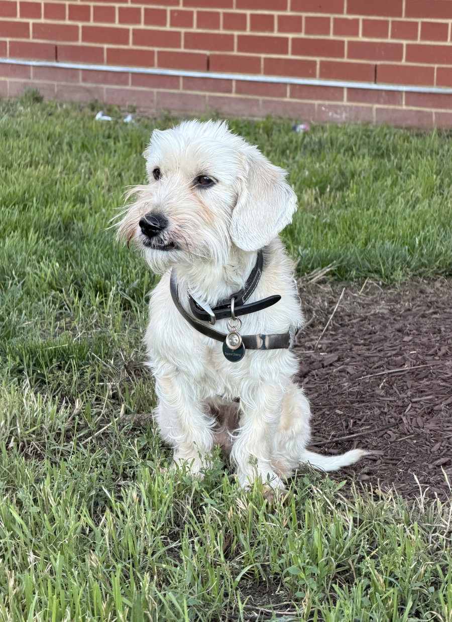 Murphy