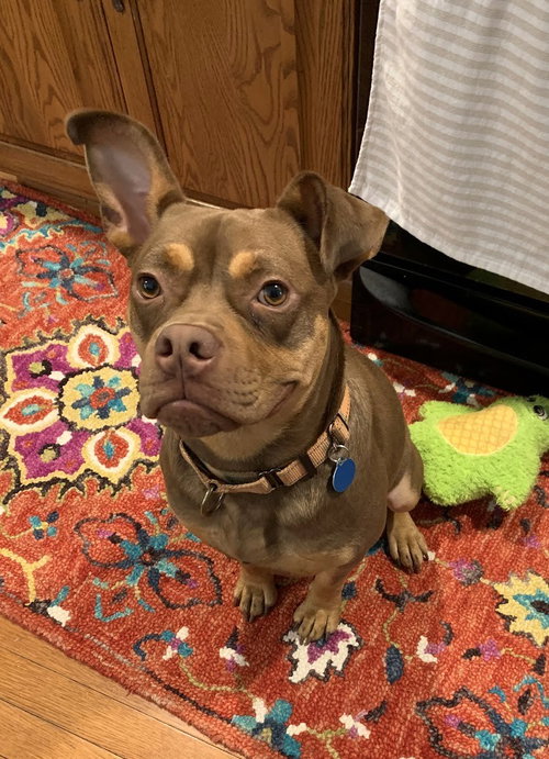 Photo 5 of Twix
