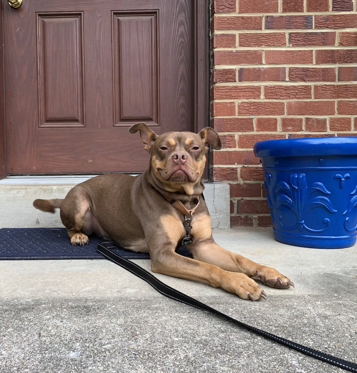 Twix, photo 7