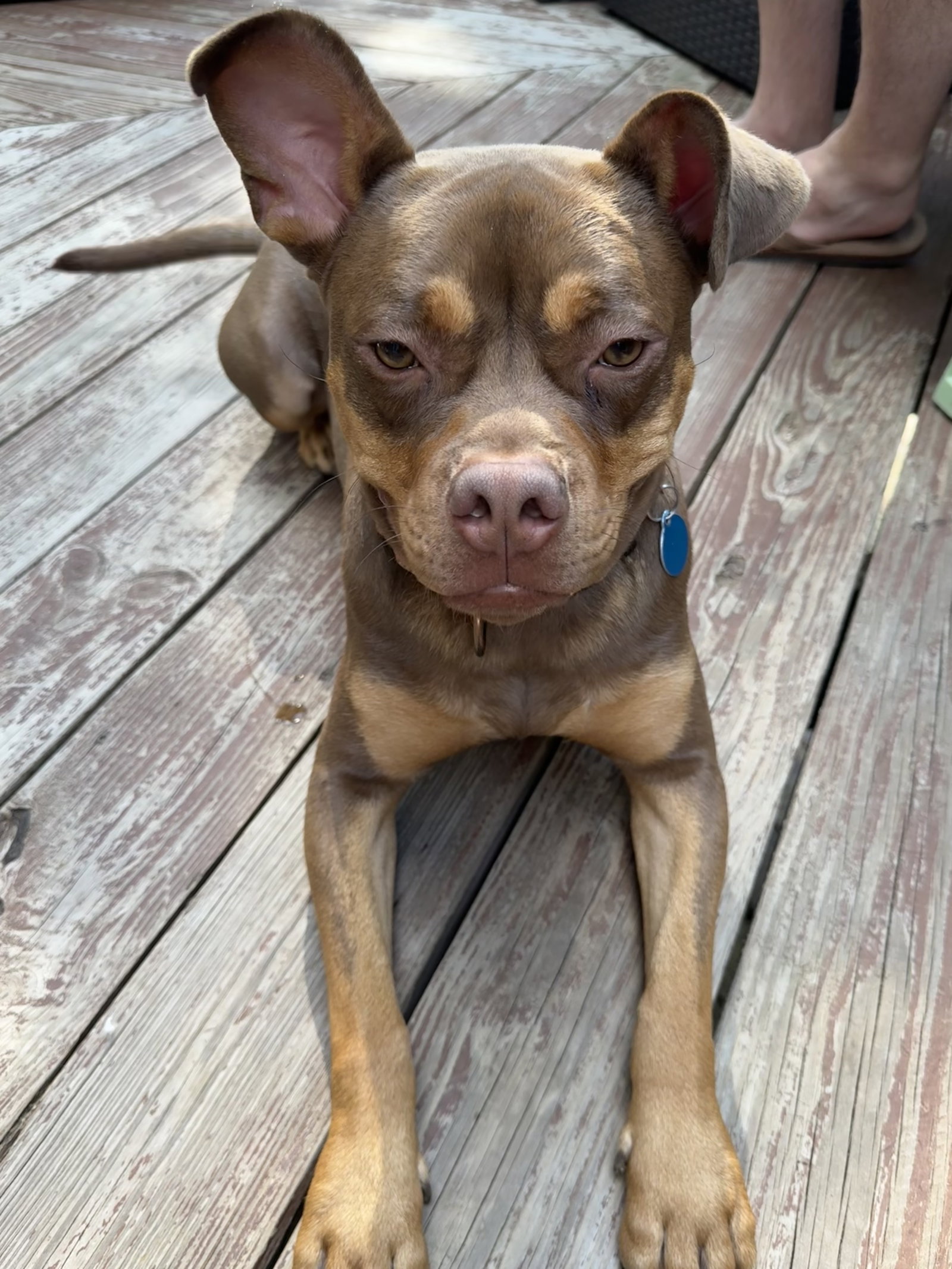 Twix, photo 10