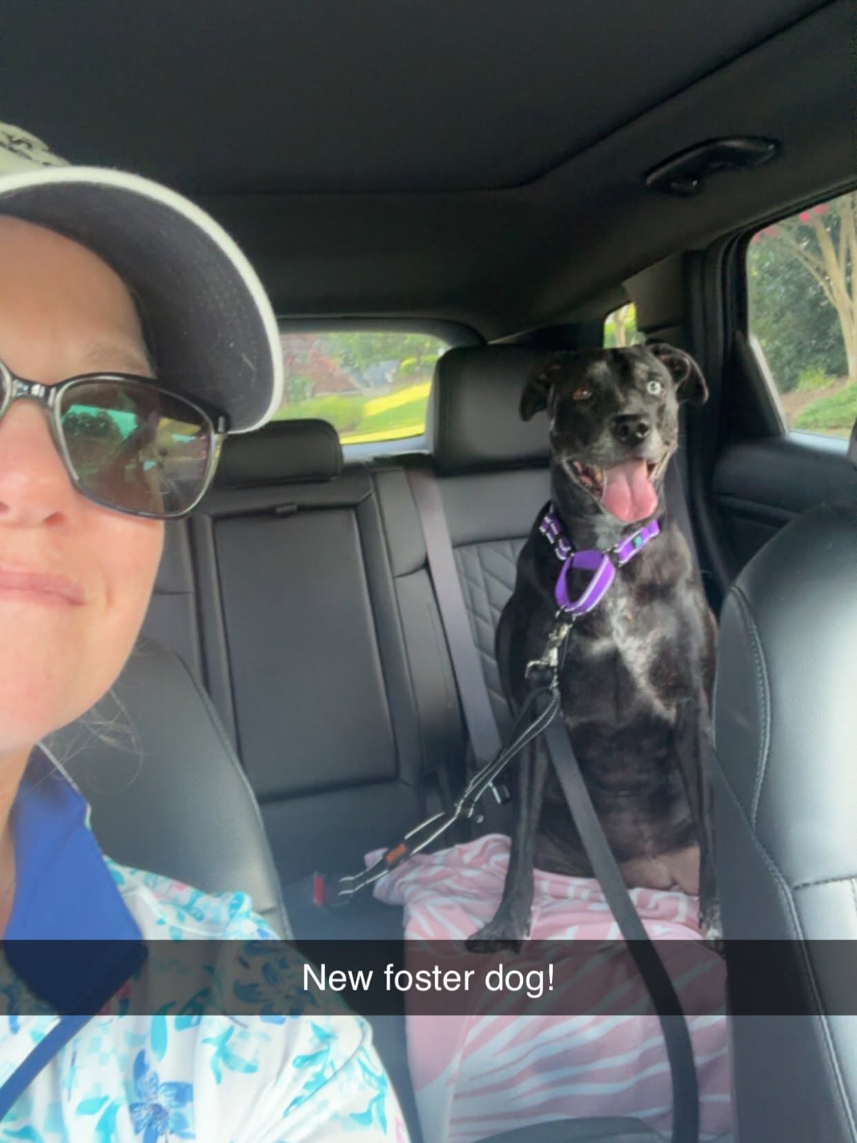 MJ - ADOPTED!, photo 10