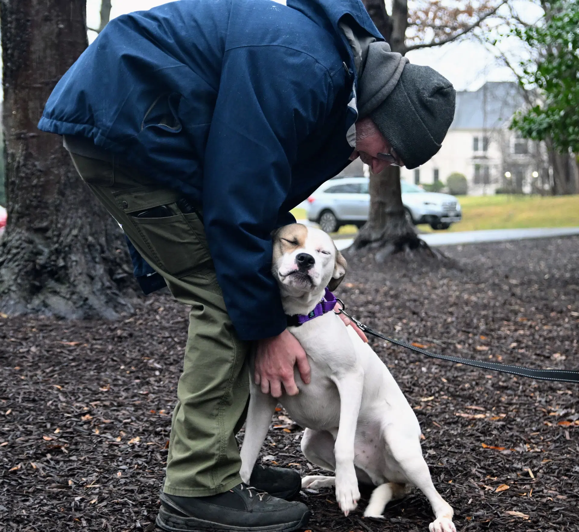 Buster image 4