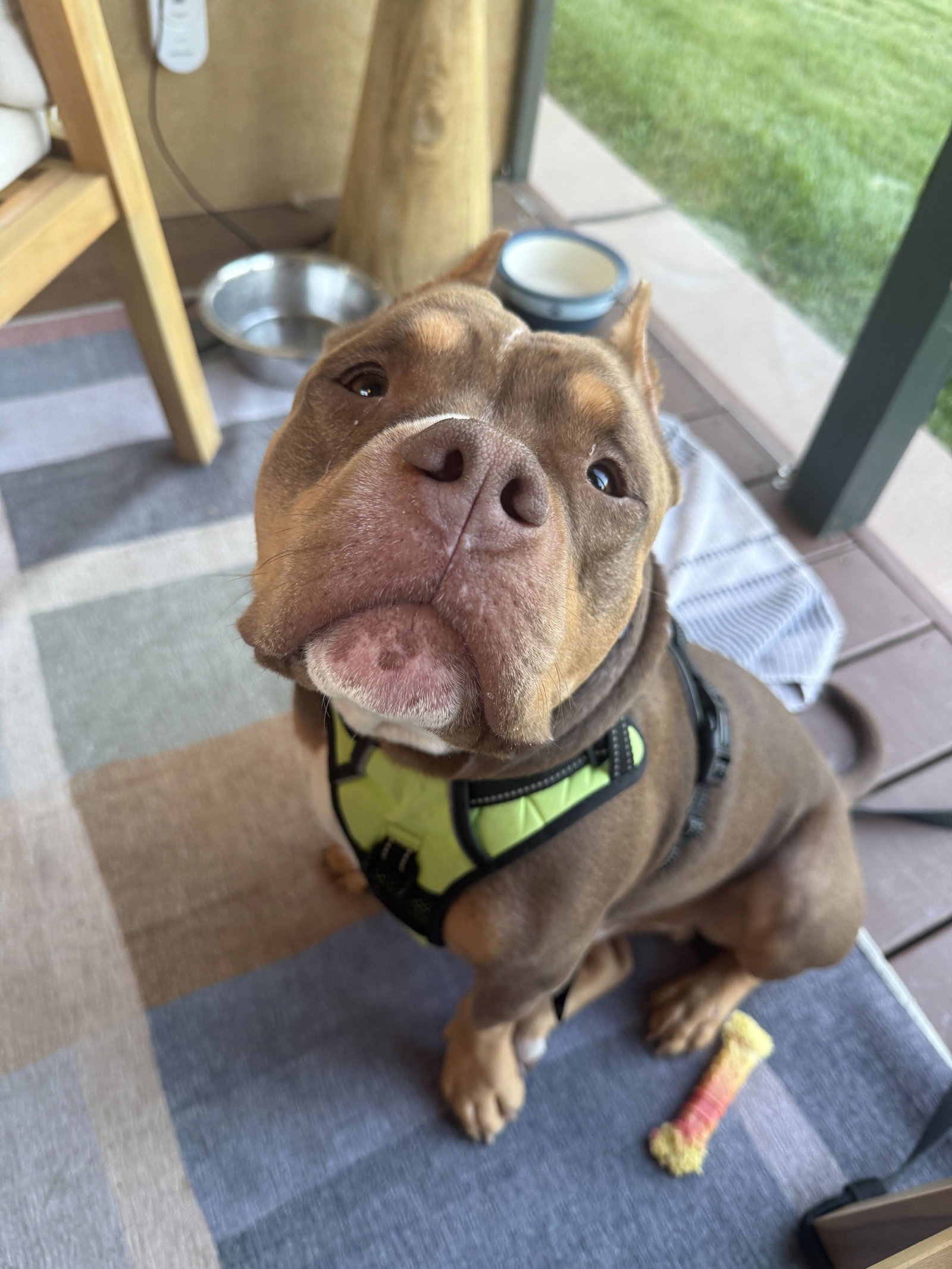 Boomer, photo 12