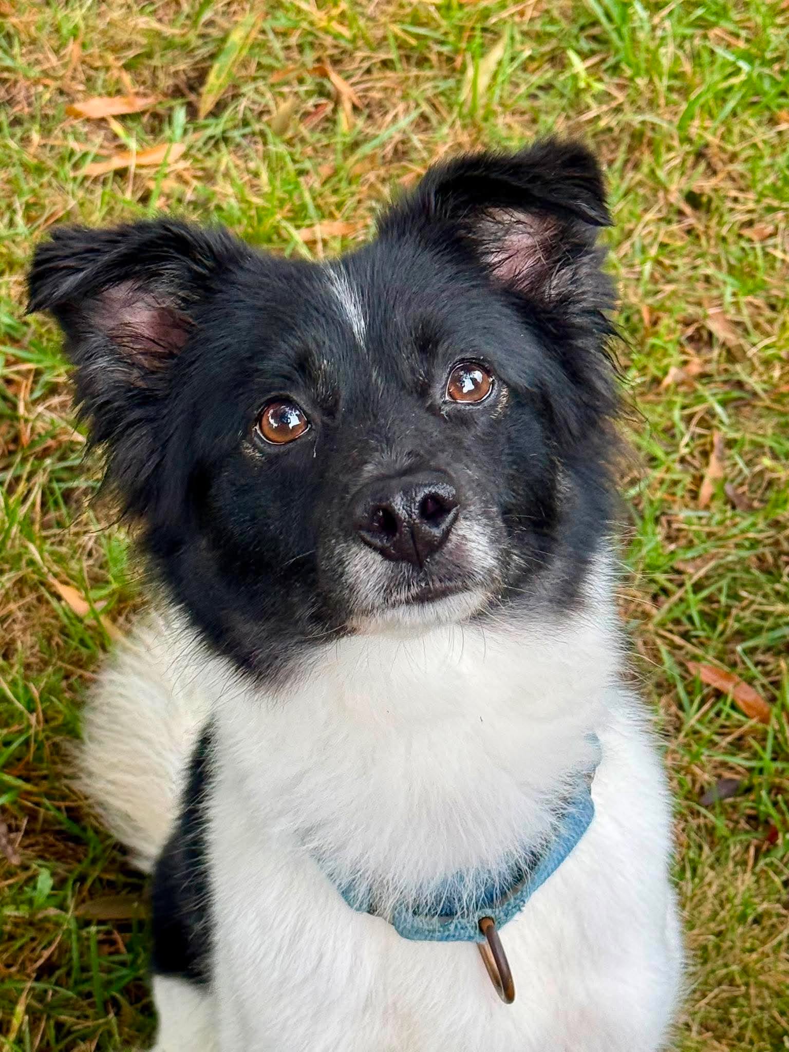 Coco