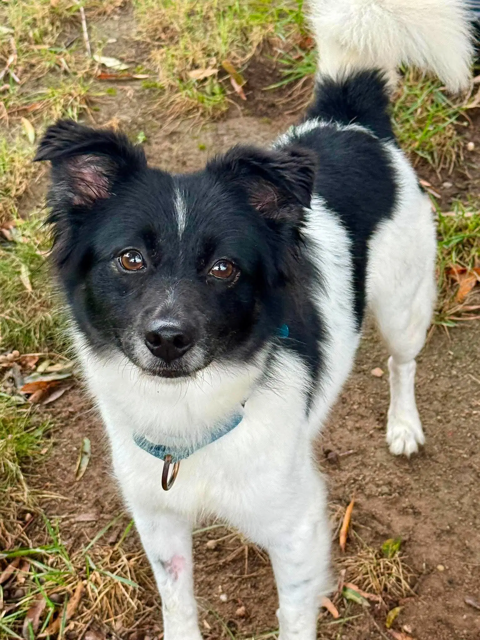Coco image 2