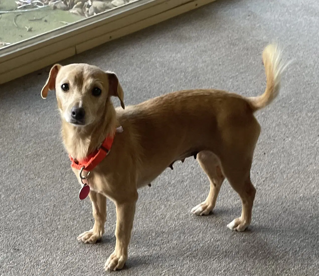 Shiloh image 4