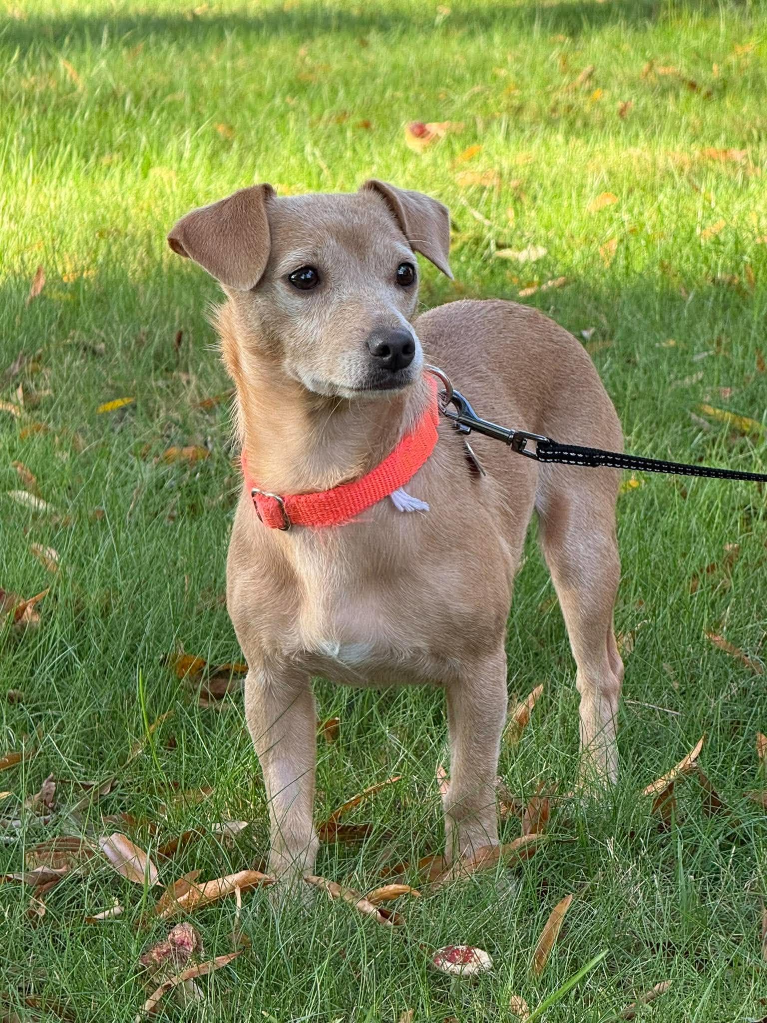 Shiloh, photo 2