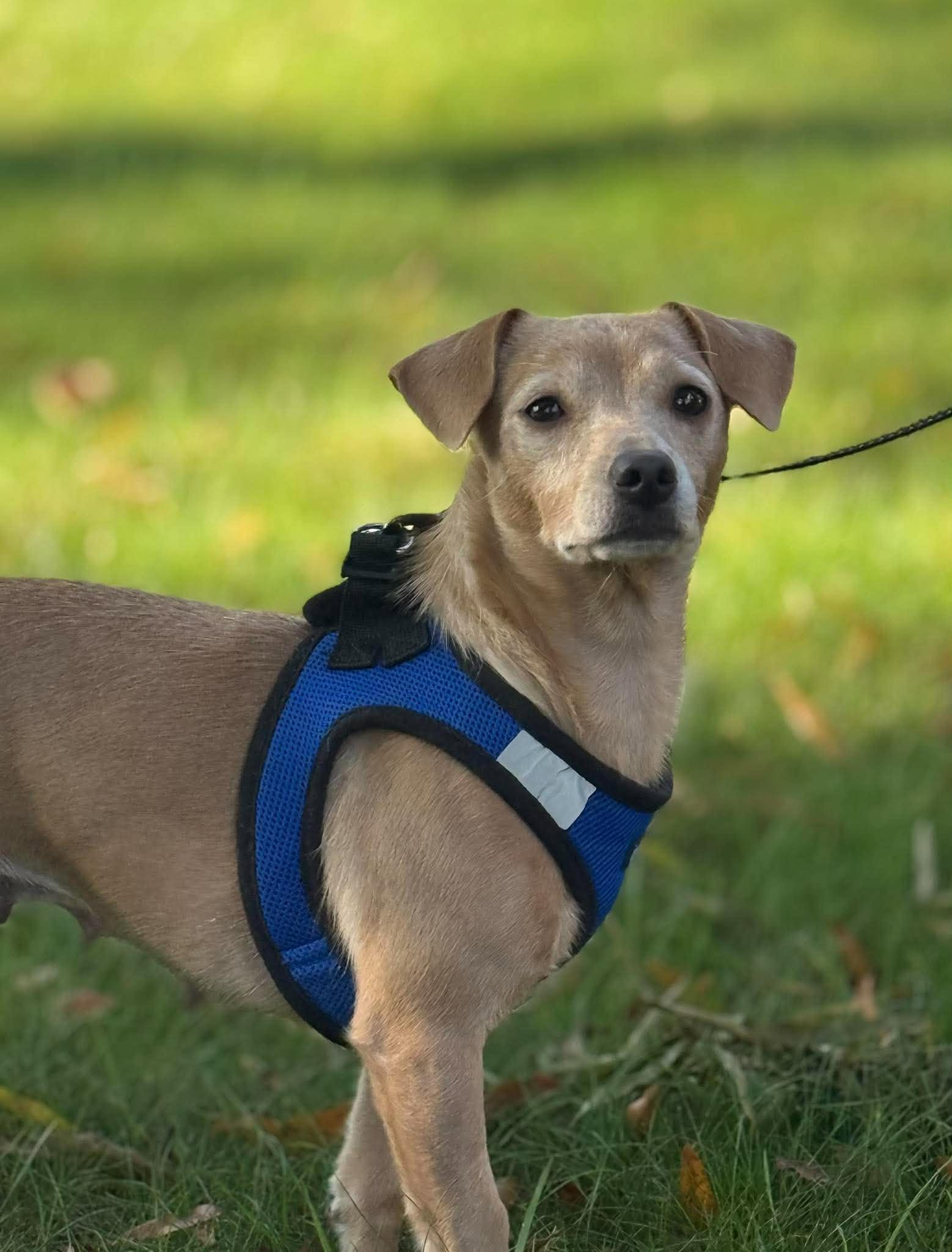 Shiloh, photo 4