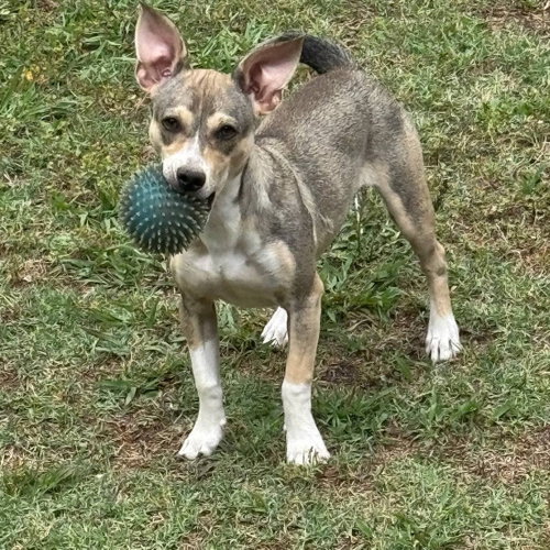 Photo 3 of Wilson