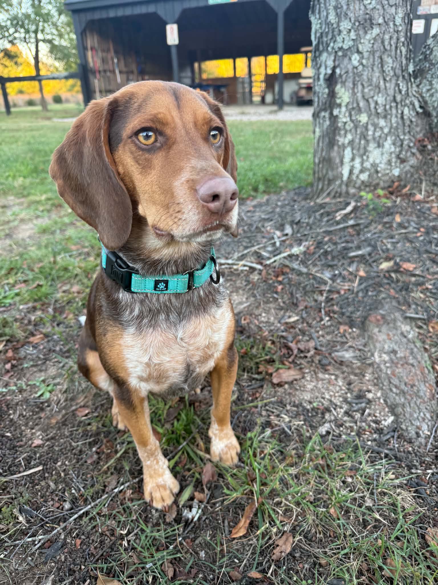 Gunner, photo 2