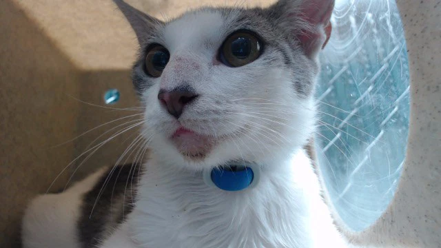 Parker