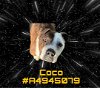 adoptable Dog in gardena, CA named COCO