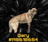 adoptable Dog in gardena, CA named GARY