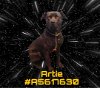 adoptable Dog in gardena, CA named ARTIE