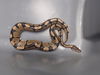 adoptable Snake in  named SLYTHERIN