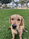 LENI - Photo 1