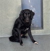 DAISY - Photo 1