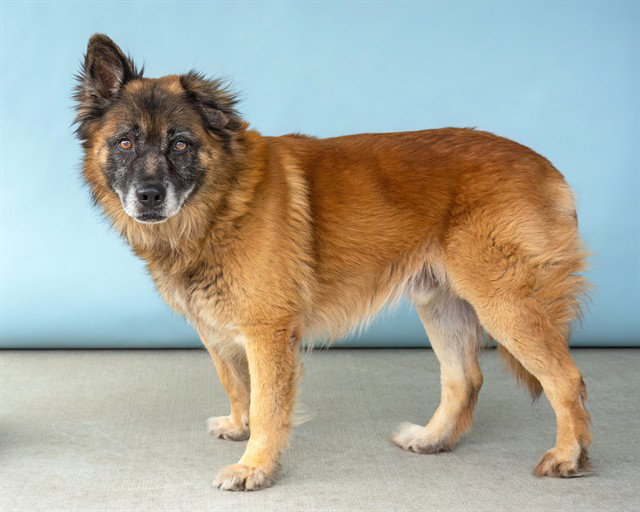 ROSCO