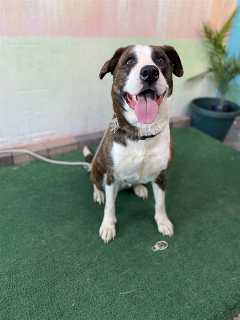 CHLOE