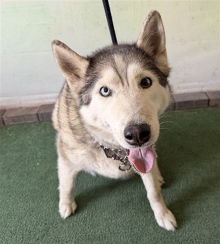 KIRA