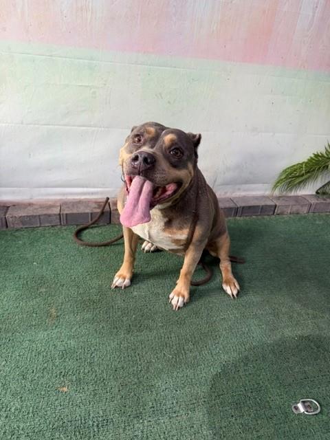 A5786608