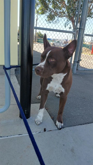 Max