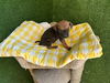 adoptable Dog in  named CHARLEIGH