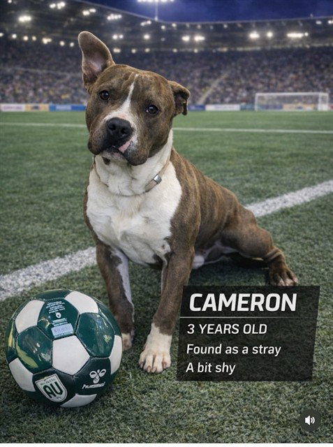 CAMERON