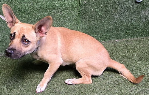 A5781159