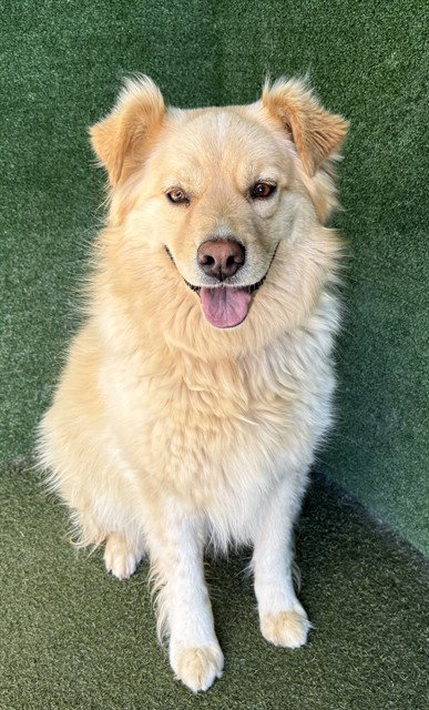 NALA