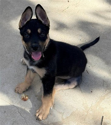 Roxy
