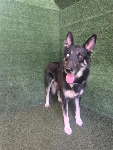 Luna