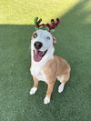 FRAZIER - Photo 1