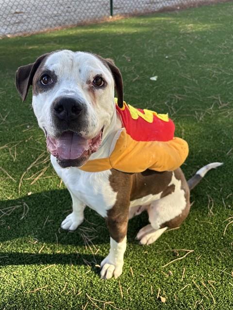 ZUKO