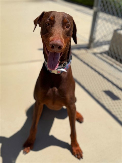 VINNIE