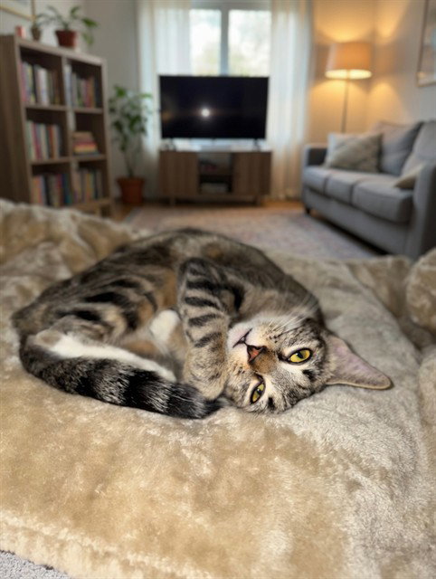 CATALIE