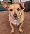 Nala - Photo 2