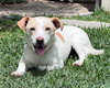 Addie - Photo 3
