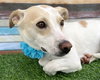 Addie - Photo 2