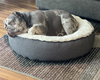 Mabel - Photo 5